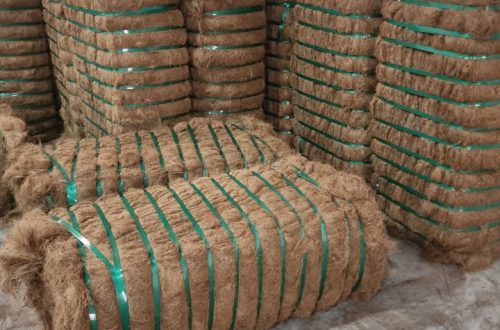 Coir fibre